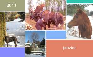 Bonne Année 2011 !