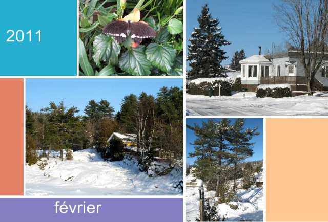 Le Bleu Frisquet de Février