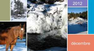 Décembre 2012 