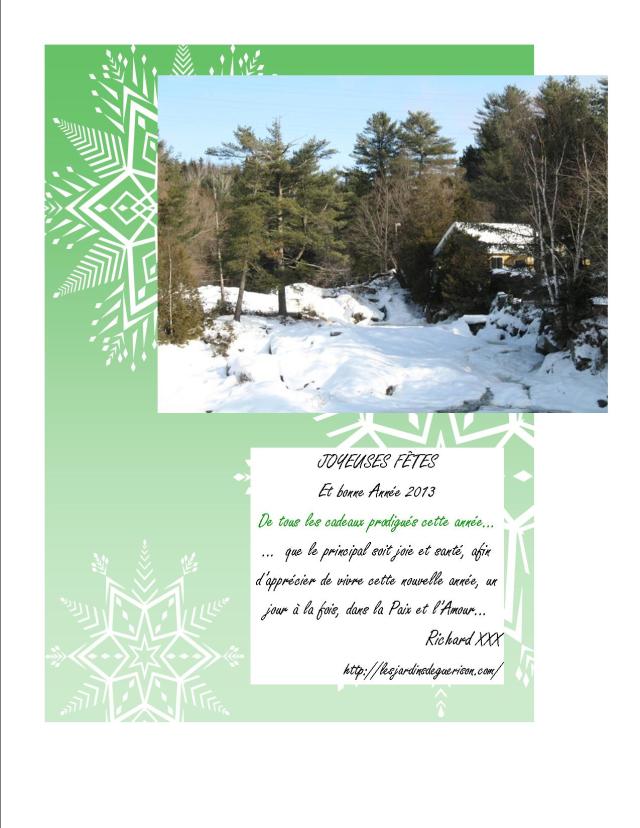 Voeux de Richard Roy