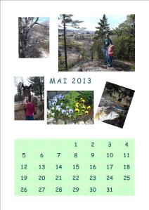 Vous pouvez le télécharger et/ou l'imprimer