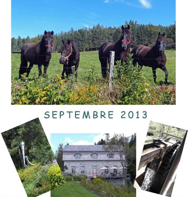 SEPTEMBRE 2013_SSAVER