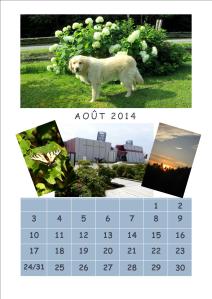 Cliquez pour agrandir. Vous pouvez sauvegarder, utiliser, partager ou imprimer, sans autorisation autre que d’indiquer l’adresse du blog.