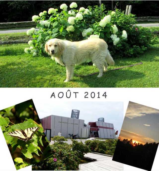 Août 2014 - MOIS DE SPECTACLES