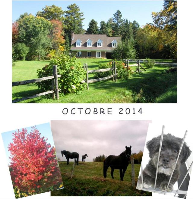 octobre 2014 SS
