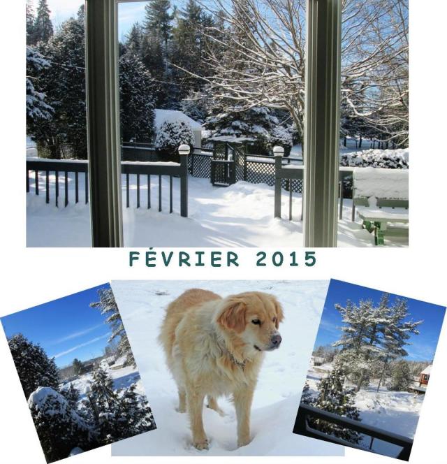 Toutes ces photos ont été prises le 31 janvier 2015.