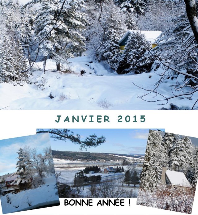Janvier 2015