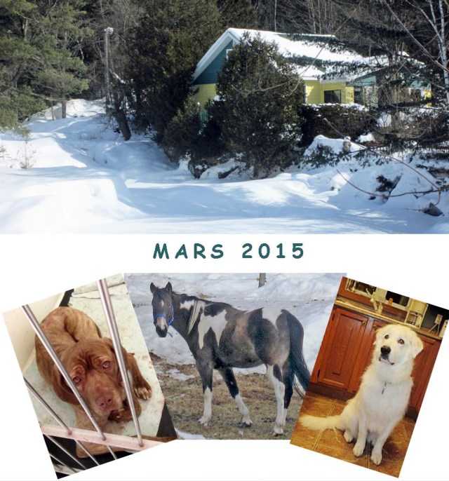 calendrier de mars 2015