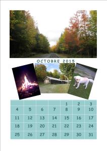 Cliquez pour agrandir. Vous pouvez sauvegarder, utiliser, partager ou imprimer, sans autorisation autre que d’indiquer l’adresse du blog. 