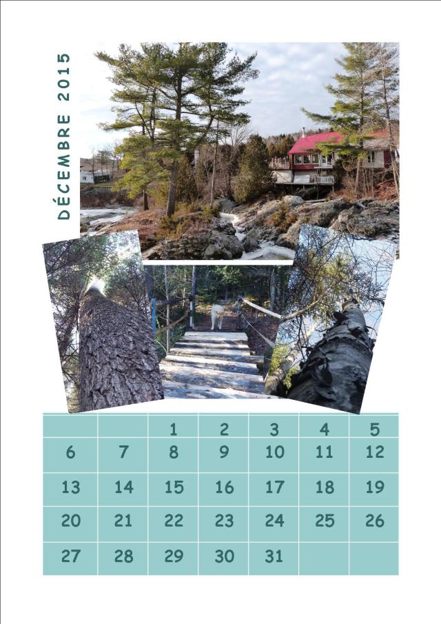 Cliquez pour agrandir. Vous pouvez sauvegarder, utiliser, partager ou imprimer, sans autorisation autre que d’indiquer l’adresse du blog.