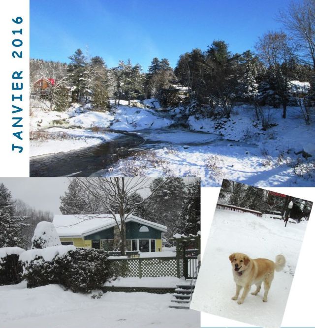 La première photo a été prise le 28 déc. Les 2 autres, le 31.