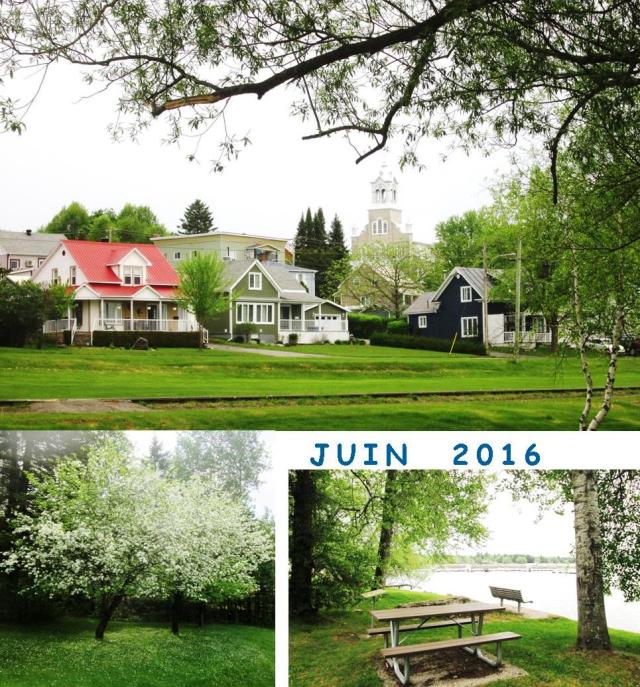 À la Une, une vue du village, prise dos au lac. Outre les blancs pommiers, d’un bon voisin, à la Calway, un partie du parc Bellerive, en face des maisons de la photo principale. 