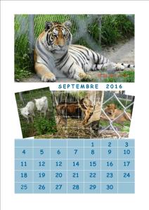 Cliquez pour agrandir. Vous pouvez sauvegarder, utiliser, partager ou imprimer, sans autorisation autre que d’indiquer l’adresse du blog.