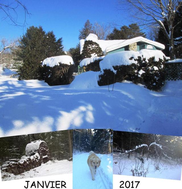 Souvenir du 31 décembre 2016