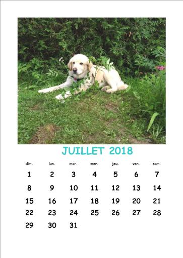 juiLLET 2018