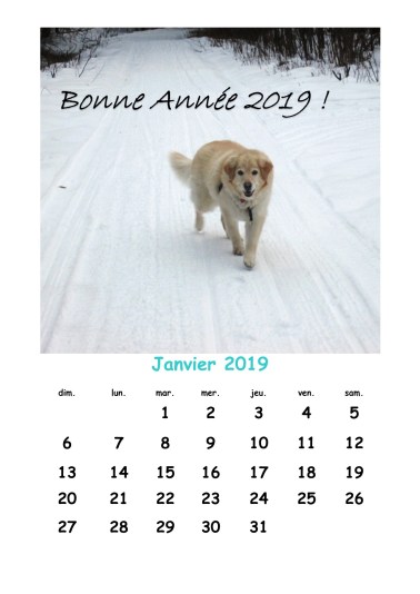 Janvier 2019