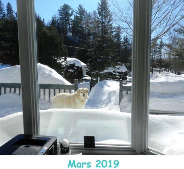 Mars 2019www