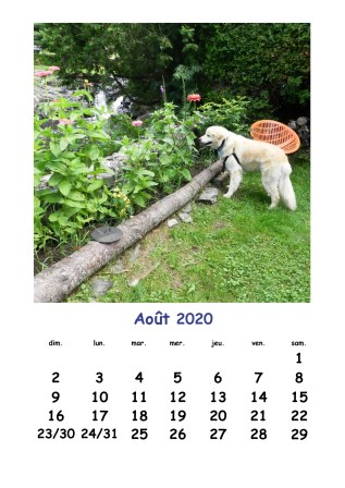 Sophie : bonheur d'août