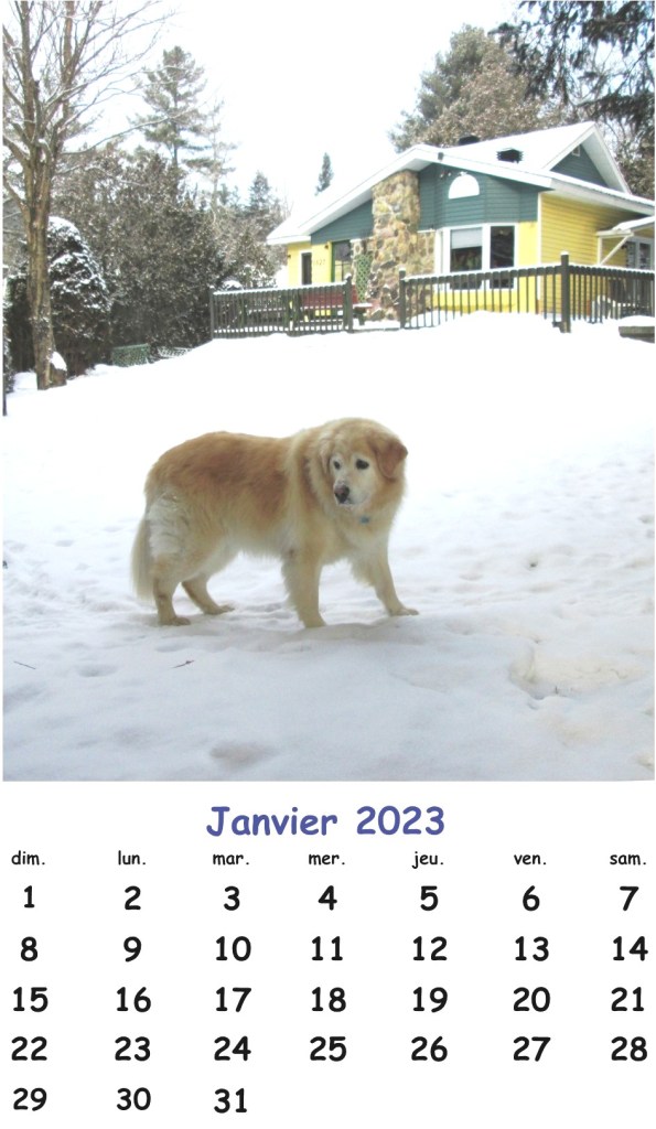 Photo prise le 28 décembre avant la fonte de neige prévue en fin d’année